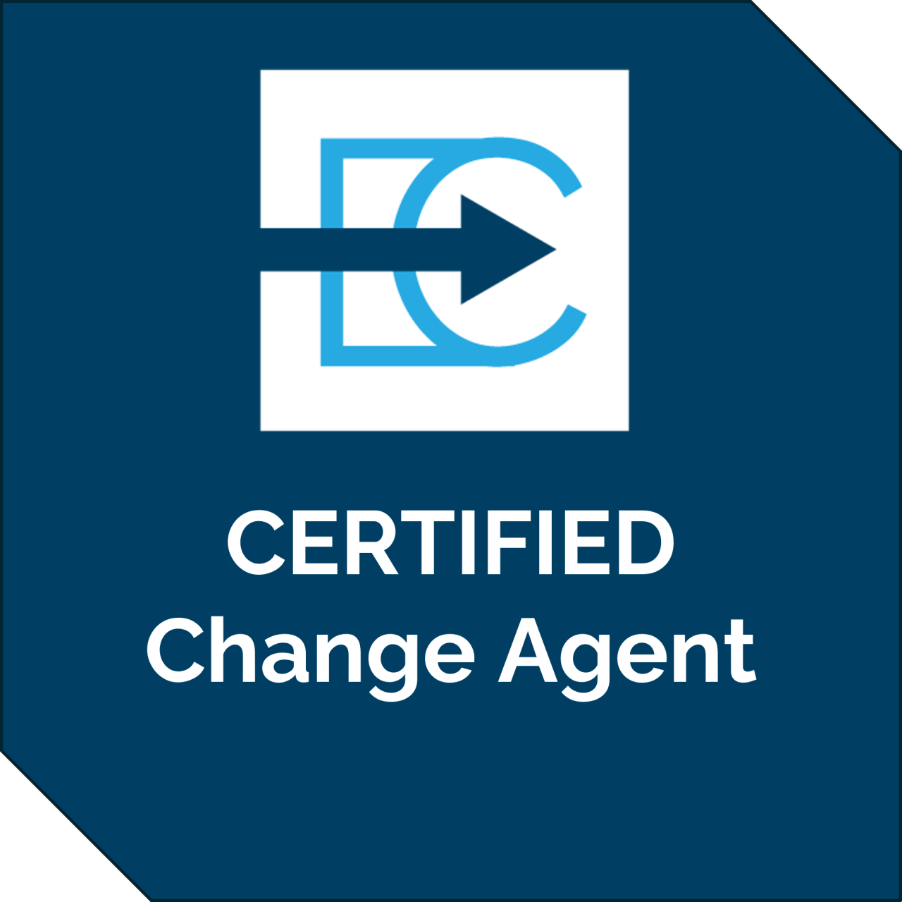 Certified Change Agent